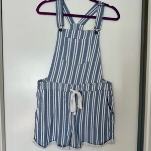 Wallflower Blue and White Striped Women's Shorts Overalls